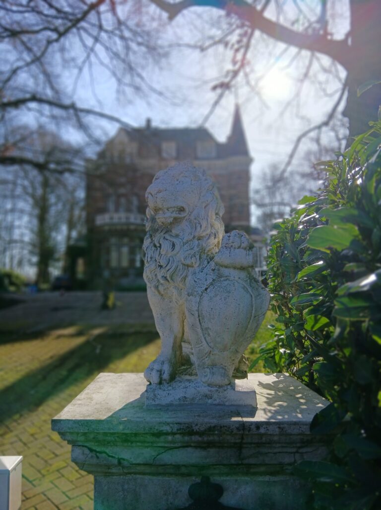 Decoratief stenen Leeuw na grondige reiniging